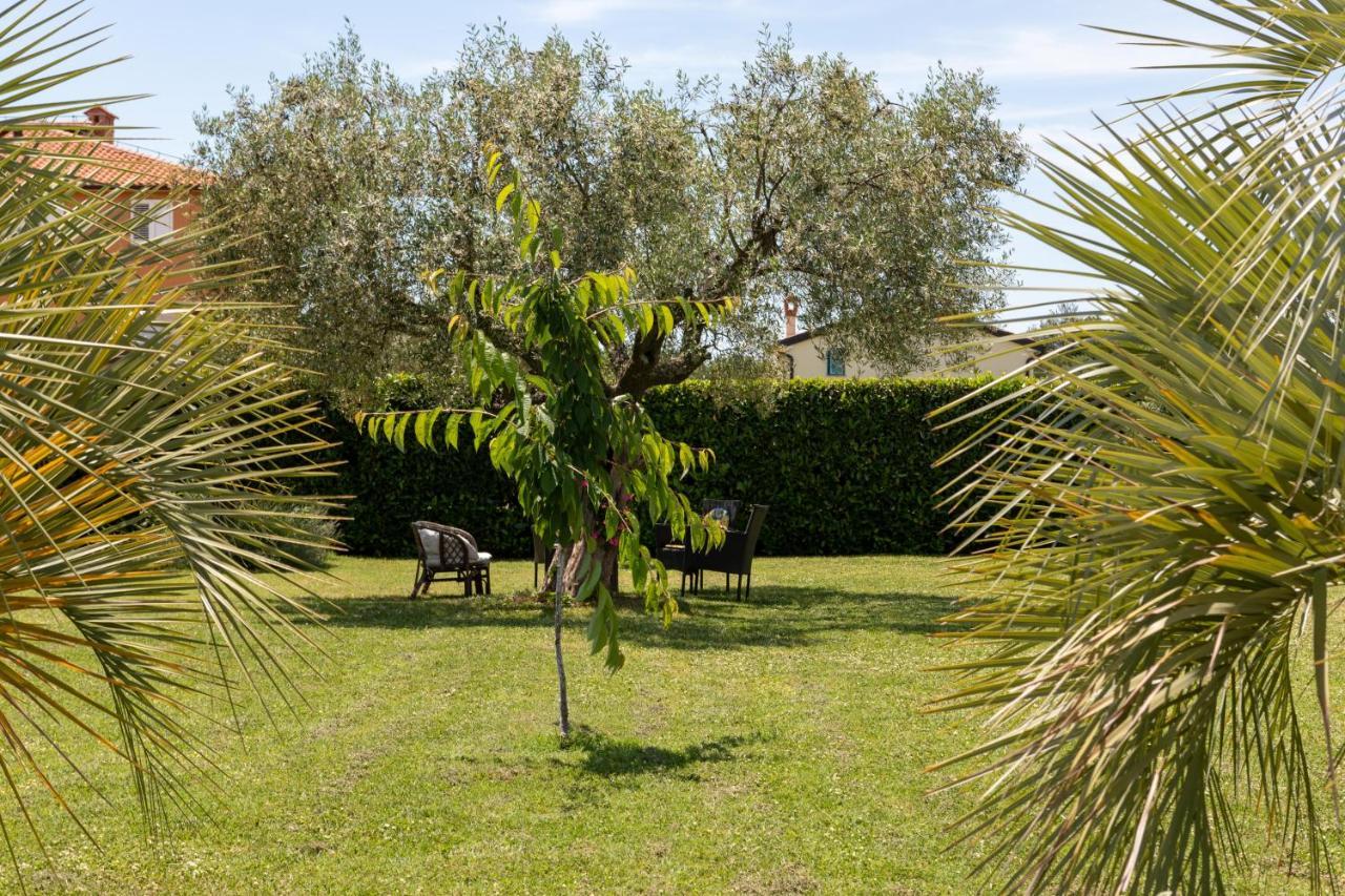 B&B Villa Oasa 1 Rovinj Ngoại thất bức ảnh